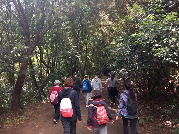 Imagen de un grupo de personas pertenecientes a la Asociación Aspercan paseando por el monte canario.
